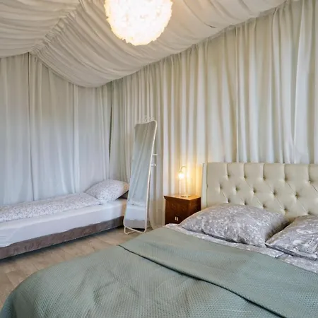 Herrenzimmer Mit Kamin Und Terrasse Daire Annaberg-Buchholz