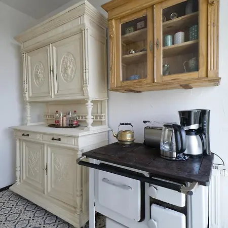 Herrenzimmer Mit Kamin Und Terrasse Daire Annaberg-Buchholz